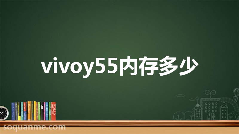 vivoY55参数(vivoy55内存多少)